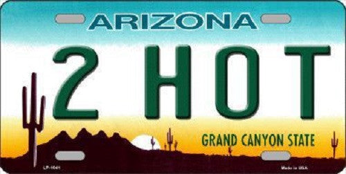 2 Hot Arizona Novelty Metal License Plate
