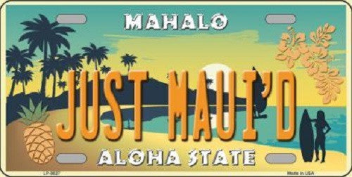 Just Mauid Vintage Background Novelty Metal License Plate