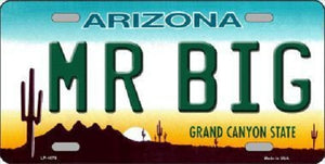 Mr Big Arizona Novelty Metal License Plate