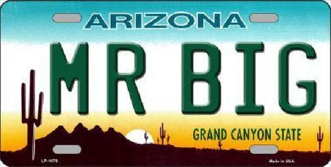 Mr Big Arizona Novelty Metal License Plate