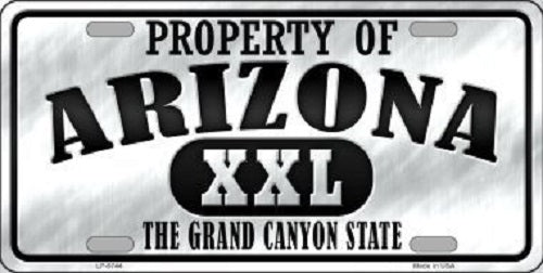 Property Of Arizona Novelty Metal License Plate